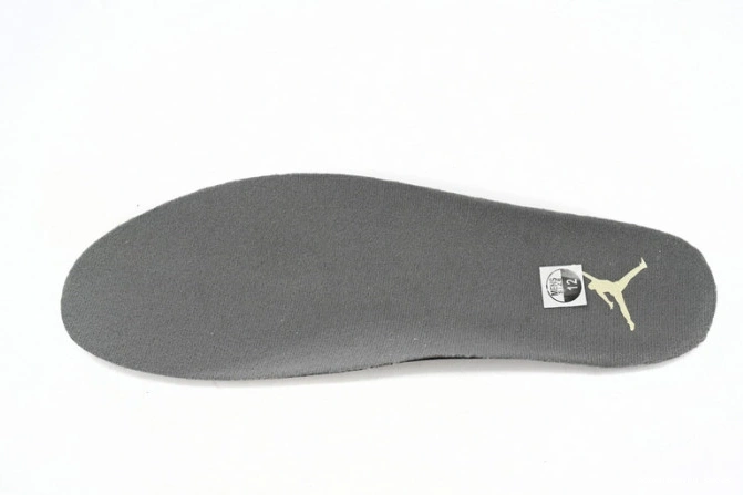Dust SE Retro Photon DV3742-021 Craft 4 Jordan 0722